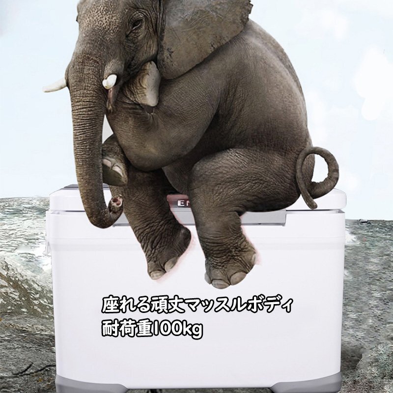  рыбалка для cooler-box емкость 22L сиденье .. крепкий мускл корпус водонепроницаемый теплоизоляционный материал теплоизоляция термос руль / вентиль / плечо ремень имеется термос сила 48h shw120