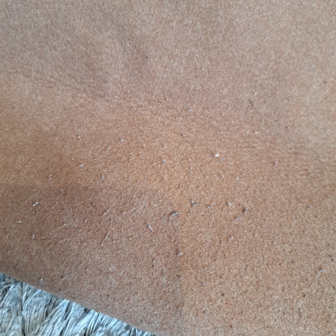 トリーバーチ TORY BURCH トートバッグ ハンドバッグ キャンバス ゴールド ベージュ系 _画像6