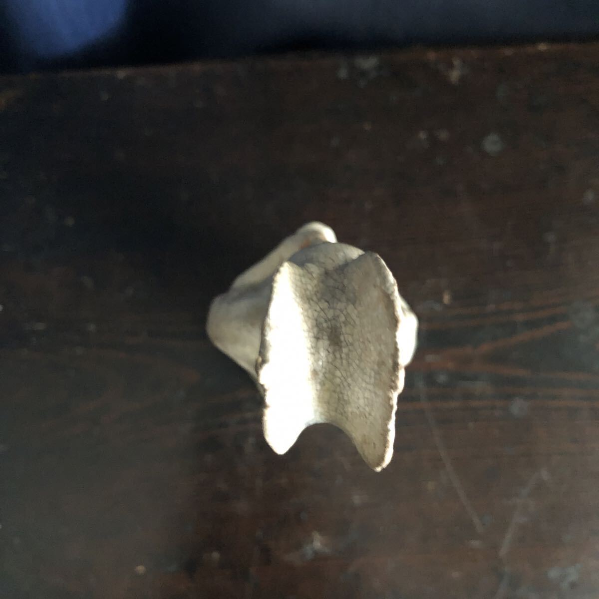 古い俑　唐白釉　官女　中国_画像9