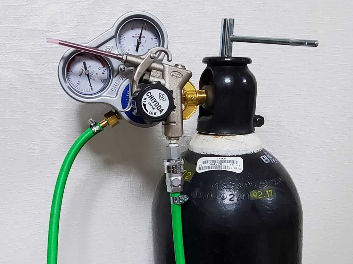  Moina macrocopa 30g+α90,000 шт [ оризия золотая рыбка тропическая рыба. живая наживка .!] Yamato mail 