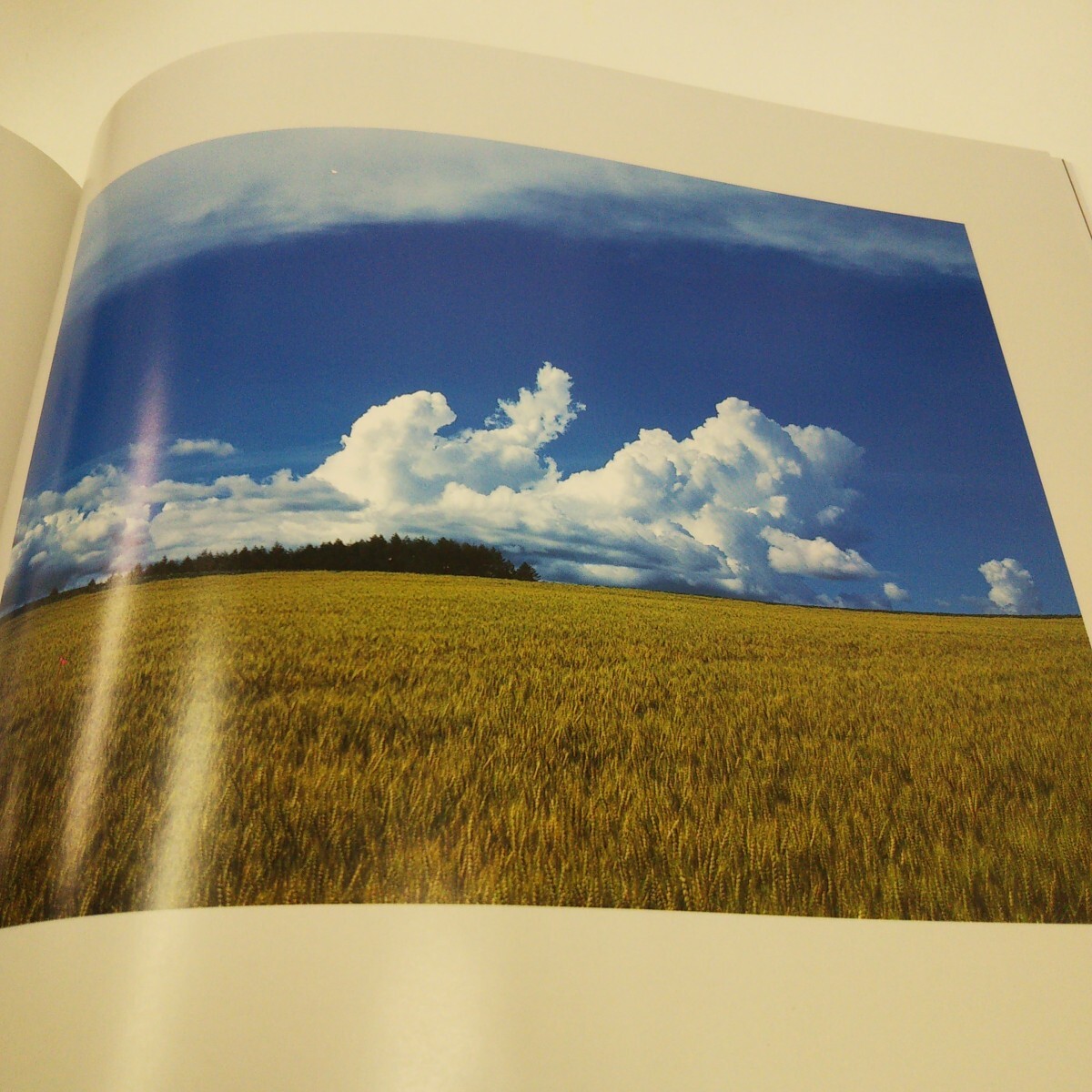 丘の詩　津幡昭写真集 津幡昭／著_画像3