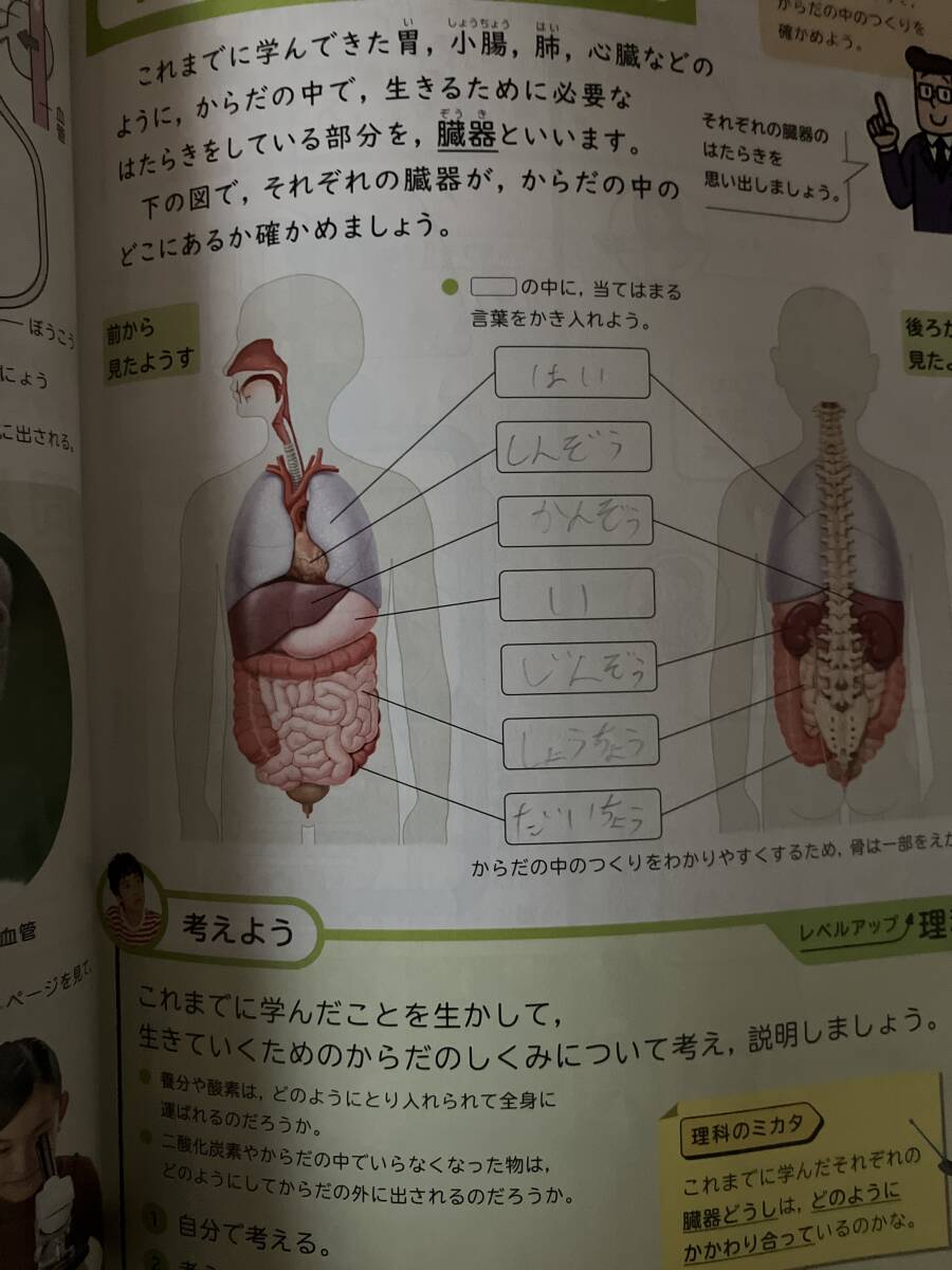 小6 教科書や資料集　まとめて14冊_画像4