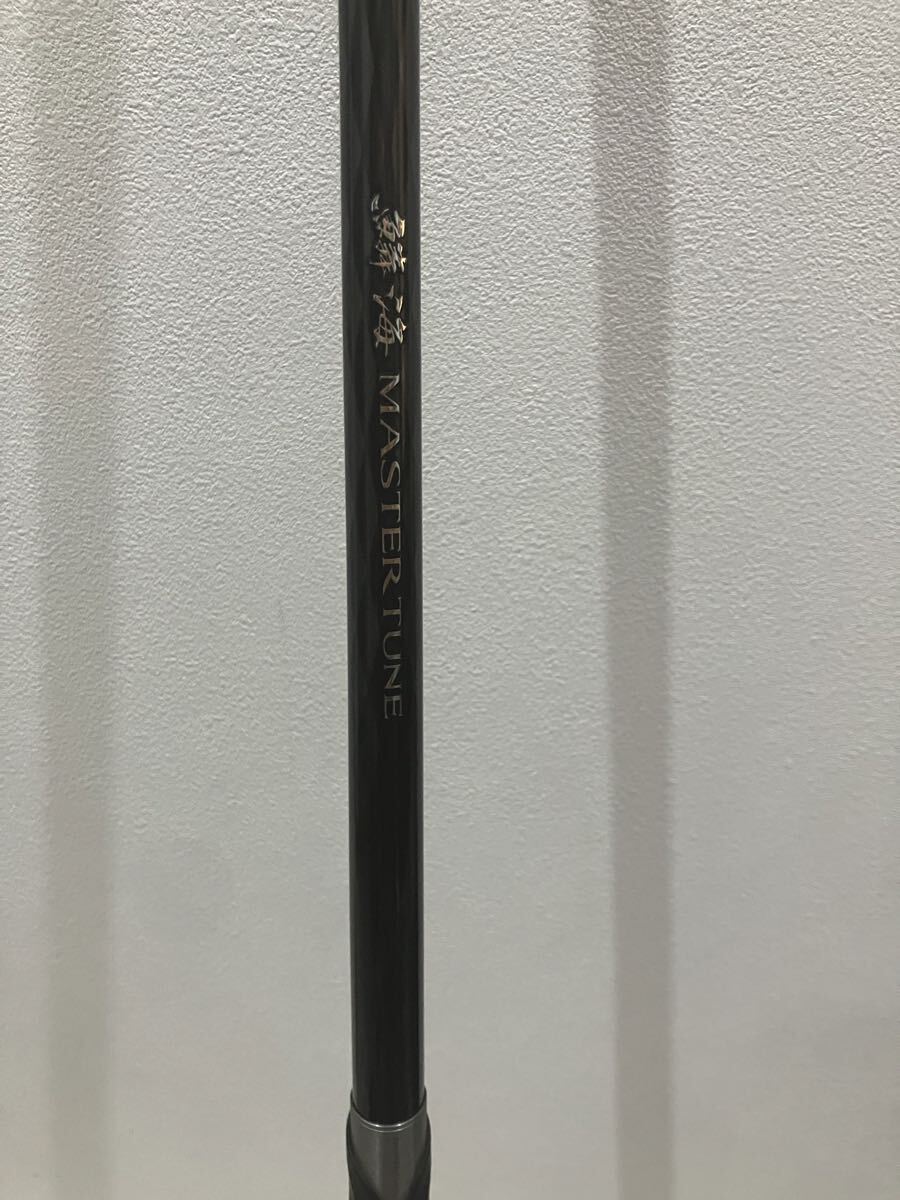 鱗海　マスターチューン　0.6 美品_画像1