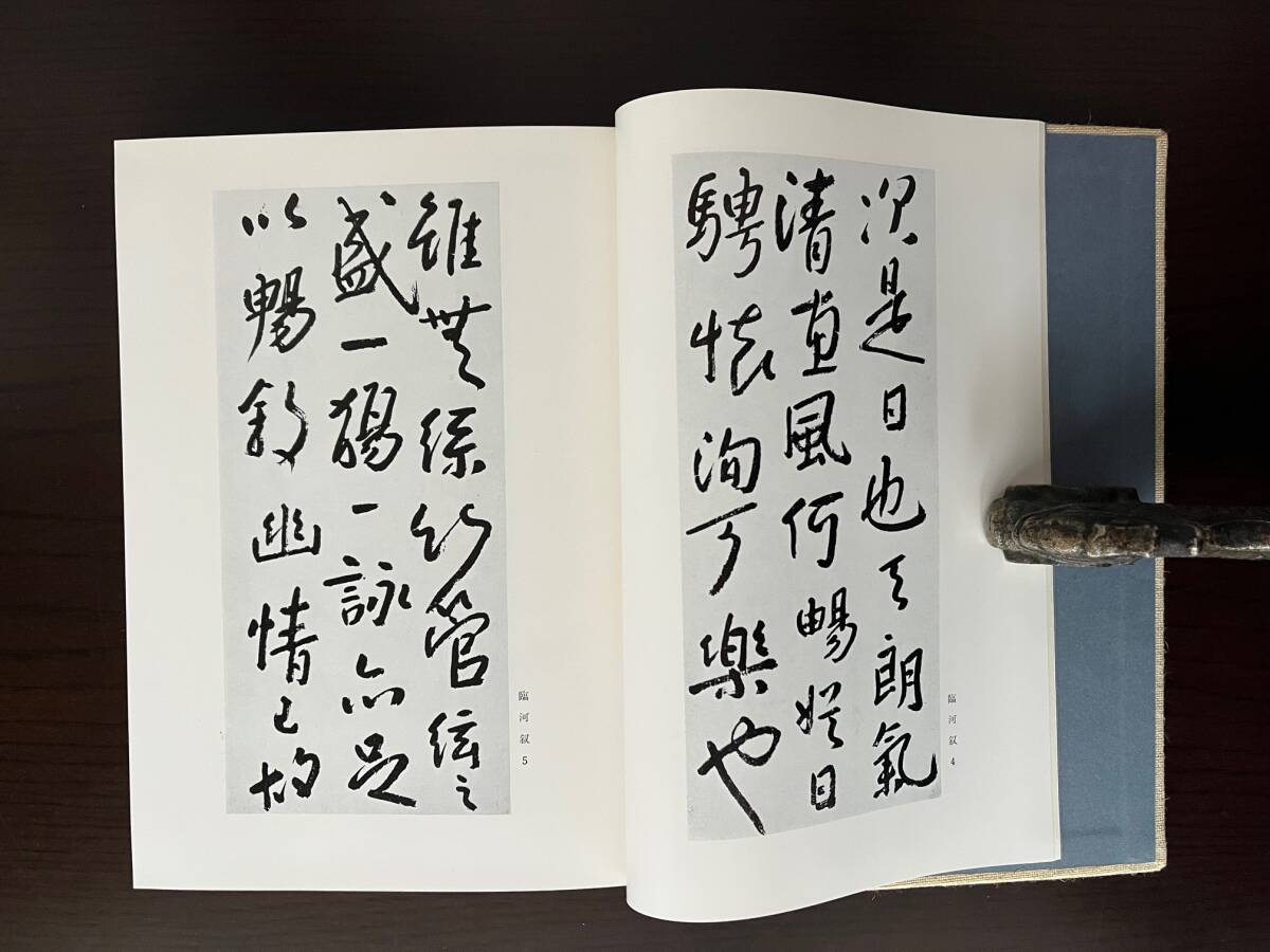 八大山人・生涯と芸術　小林富司夫／著　木耳社／発行_画像5