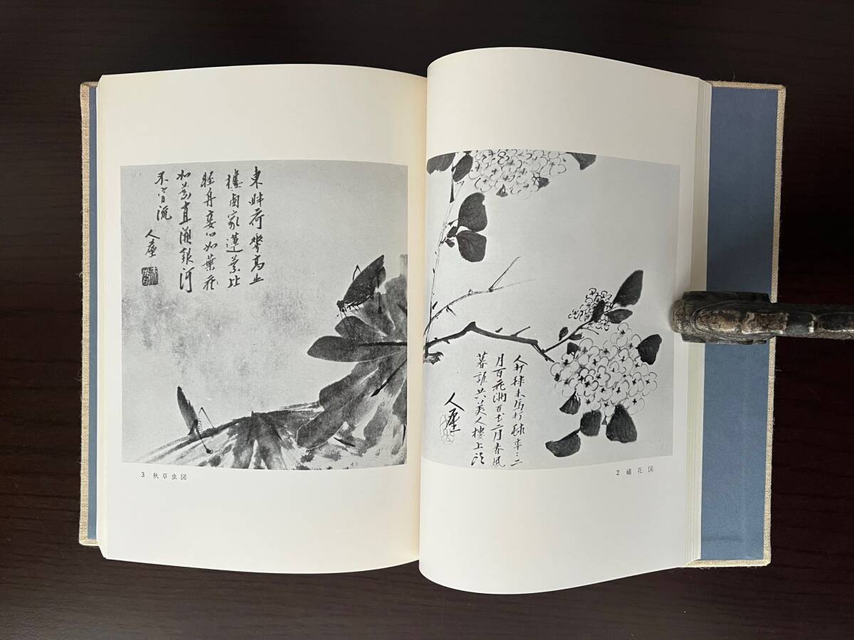 八大山人・生涯と芸術　小林富司夫／著　木耳社／発行_画像6