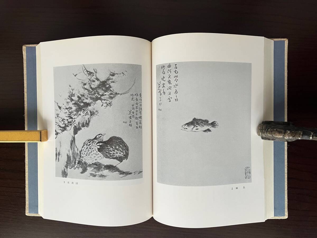 八大山人・生涯と芸術　小林富司夫／著　木耳社／発行_画像8