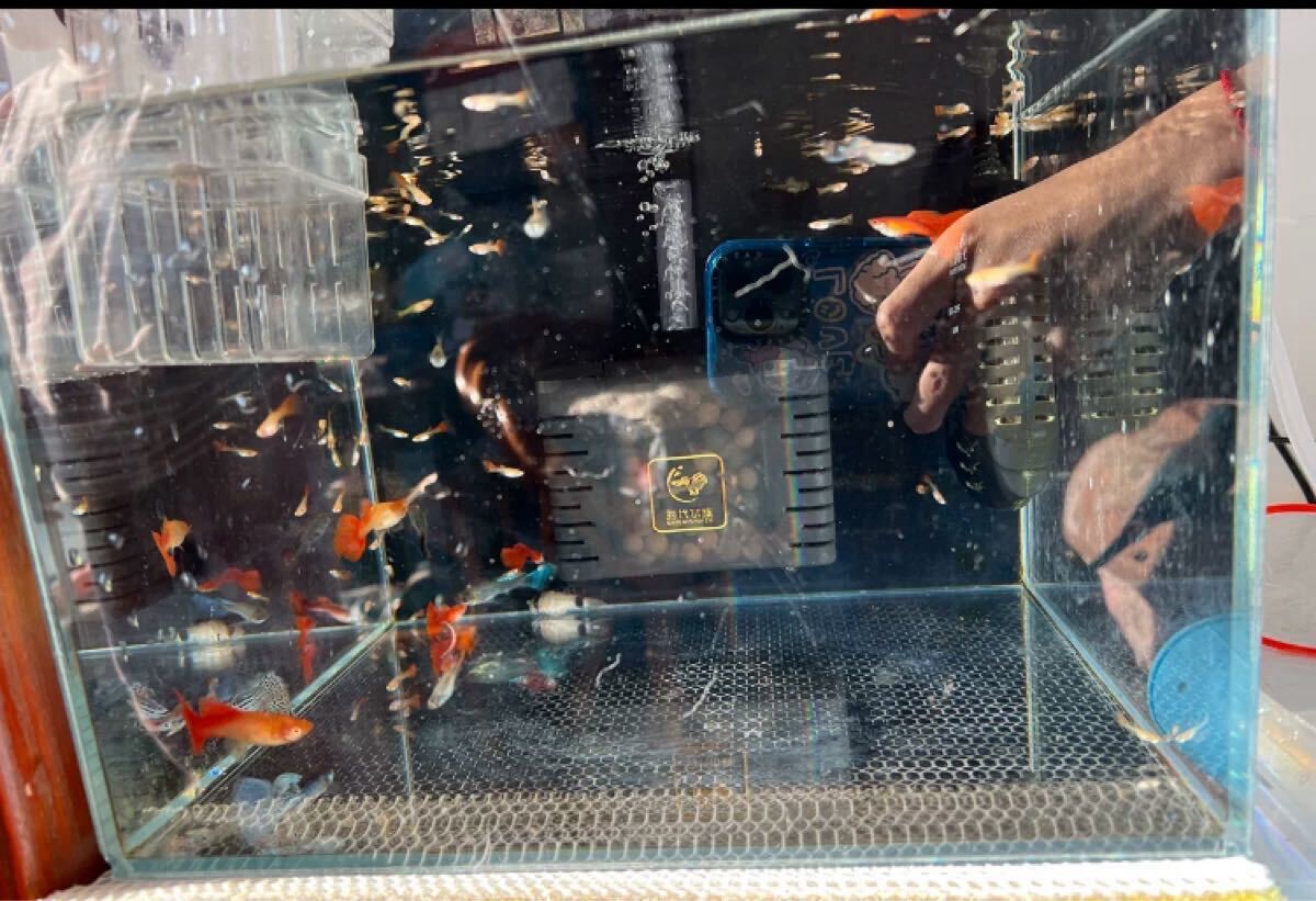 フィルターSD01水槽スポンジフィルター 吸盤付き アクアリウムフィルター 設置簡単フィルター観賞魚 水草 水槽用物理濾過生物濾過スポンジ_画像8