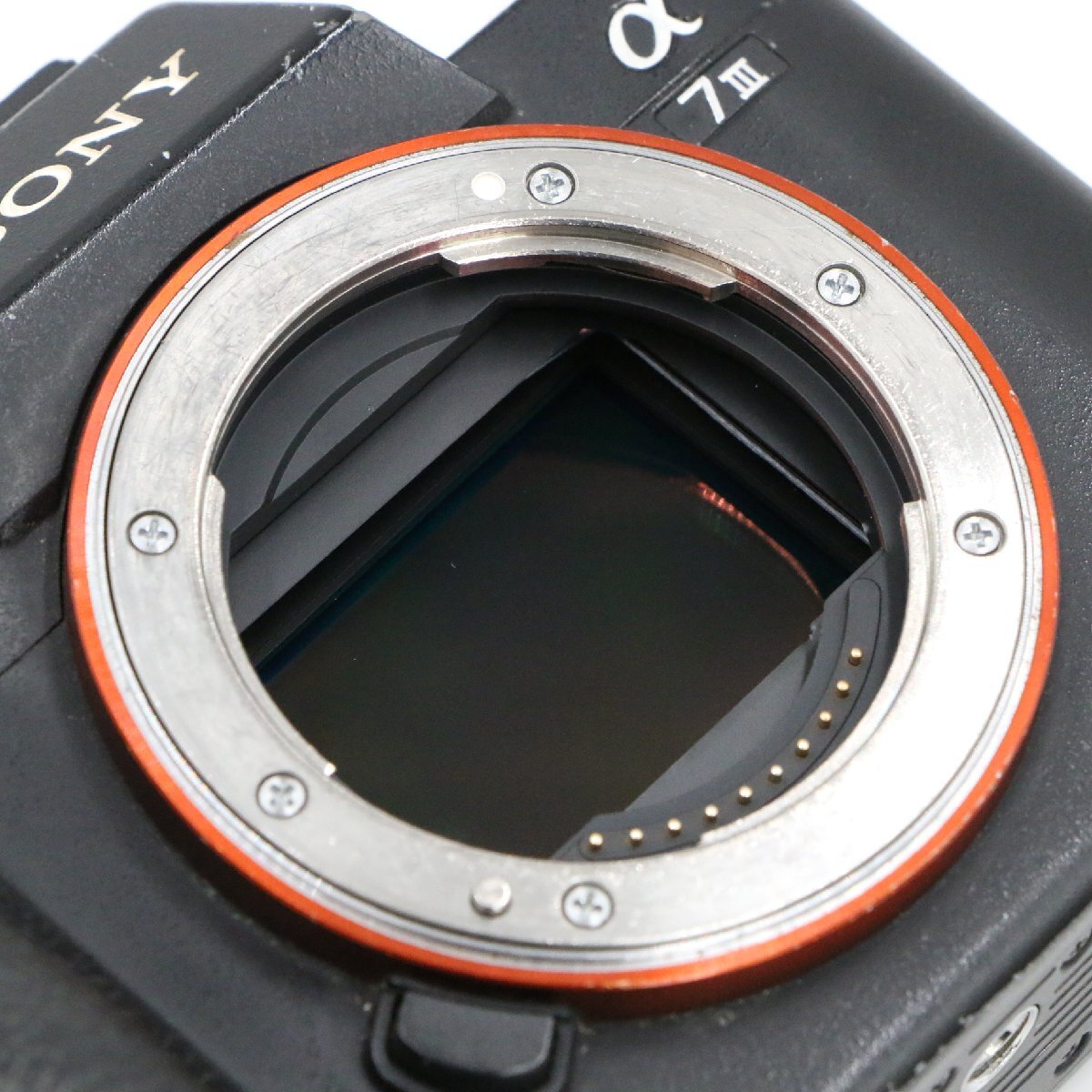 [ прекрасный товар ]SONY ILCE-7M3 Sony корпус 