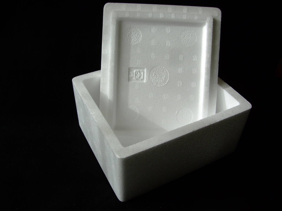 新品 発泡スチロール 箱 4L 60サイズ_画像1
