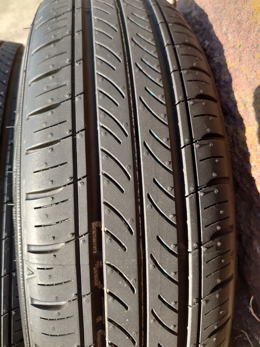 ダンロップ エナセーブ EC300 155/65/14_画像10