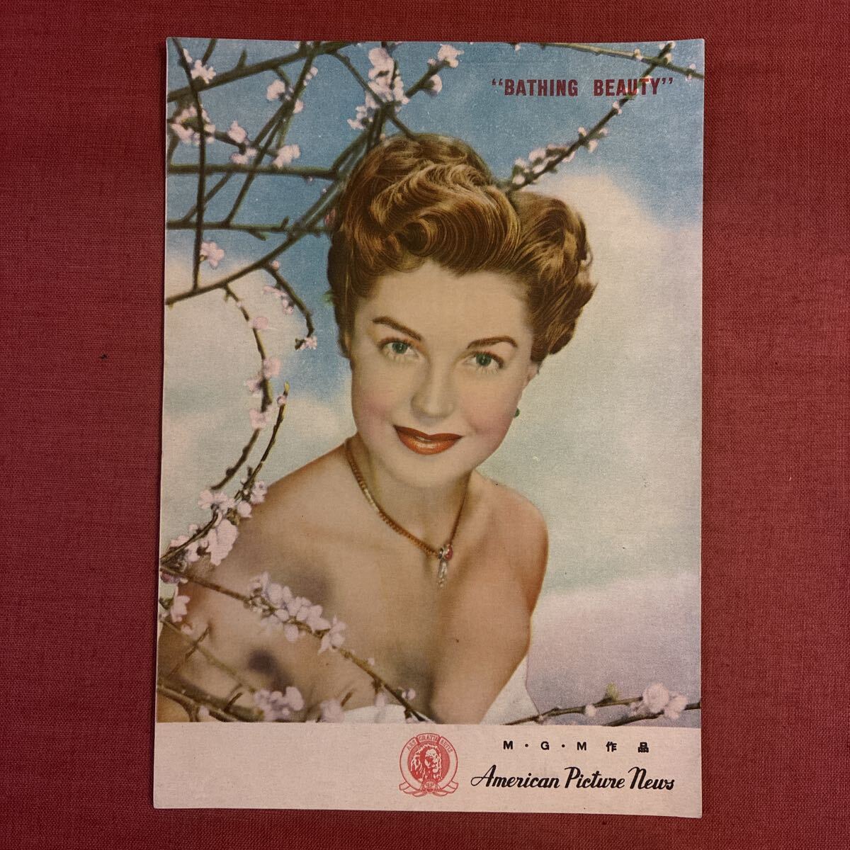 * старый фильм проспект american Picture News e Star * Williams купальный костюм. женщина . век. женщина .. корова. женщина . мюзикл подлинная вещь *