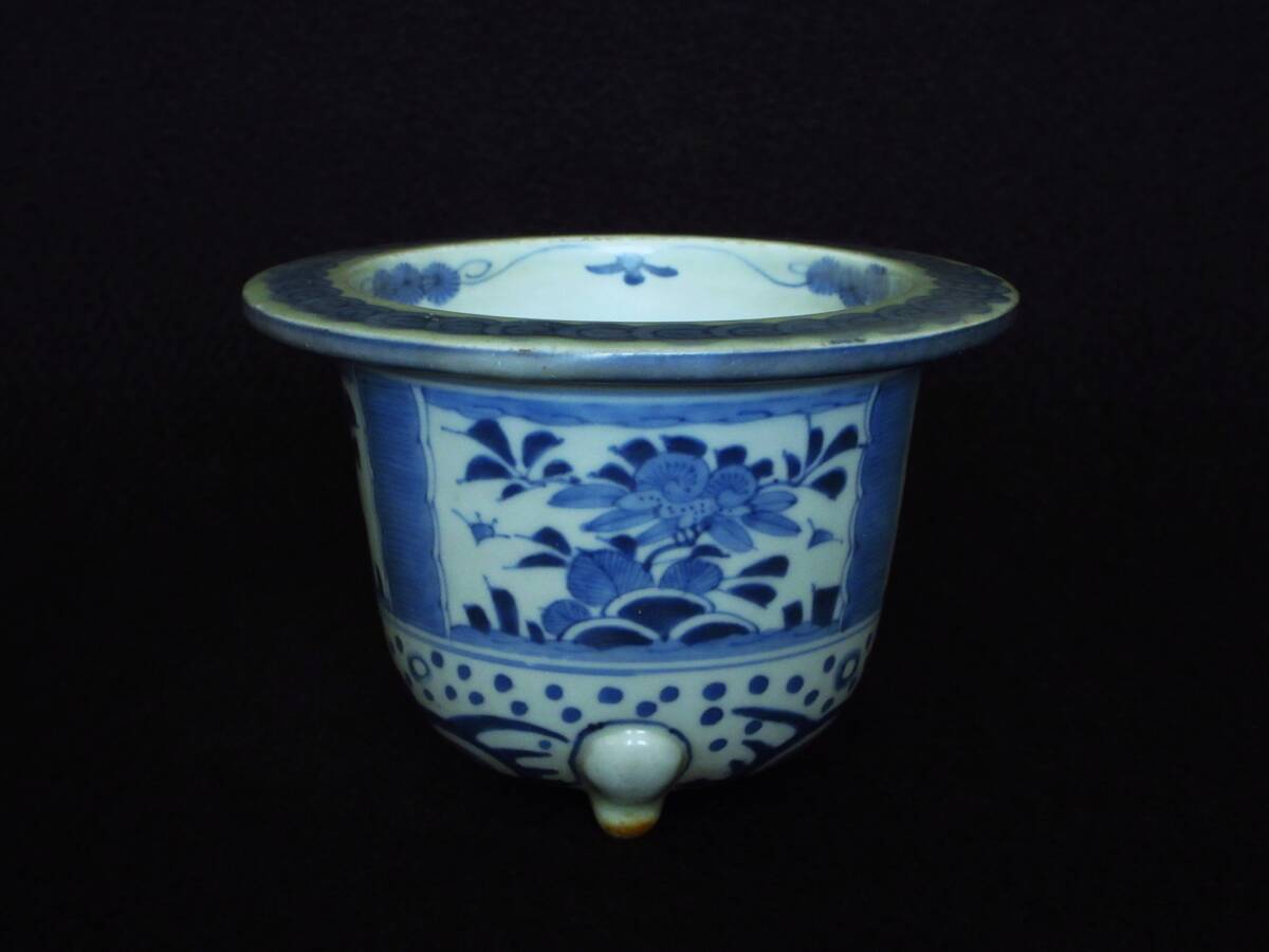  маленькая миска старый Imari белый фарфор с синим рисунком окно . старый плата растения документ вне . кошка пара круг горшок орхидея горшок бонсай горшок цветочный горшок поддон контейнер 
