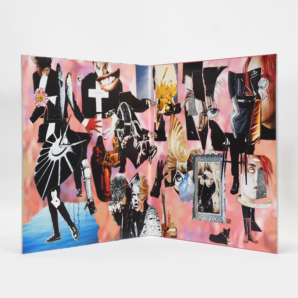 BUCK-TICK バクチク レコード LP TABOO 2枚組 BT-2 _画像3