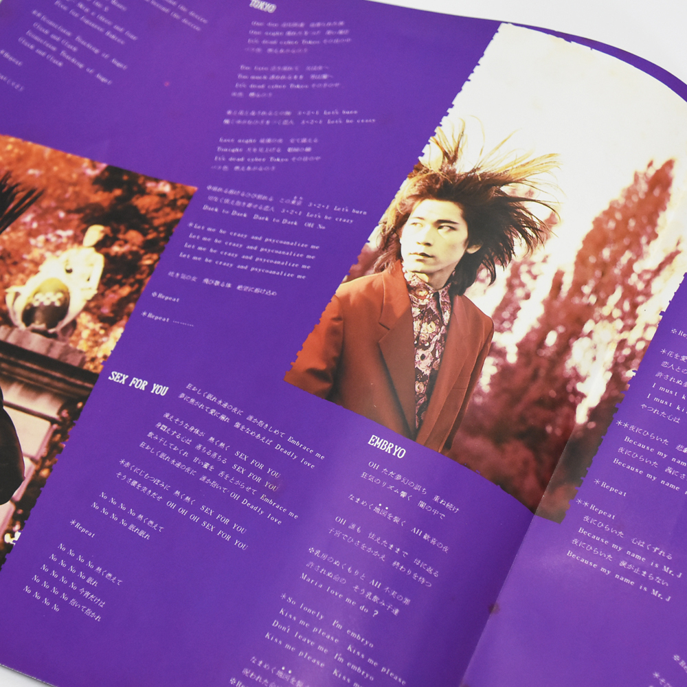 BUCK-TICK バクチク レコード LP TABOO 2枚組 BT-2 _画像5