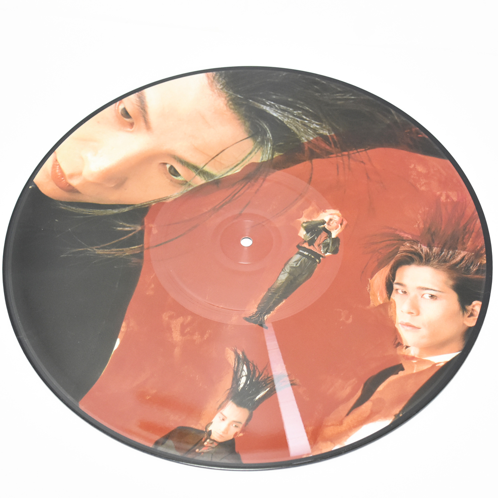 BUCK-TICK バクチク レコード LP TABOO 2枚組 BT-2 _画像7