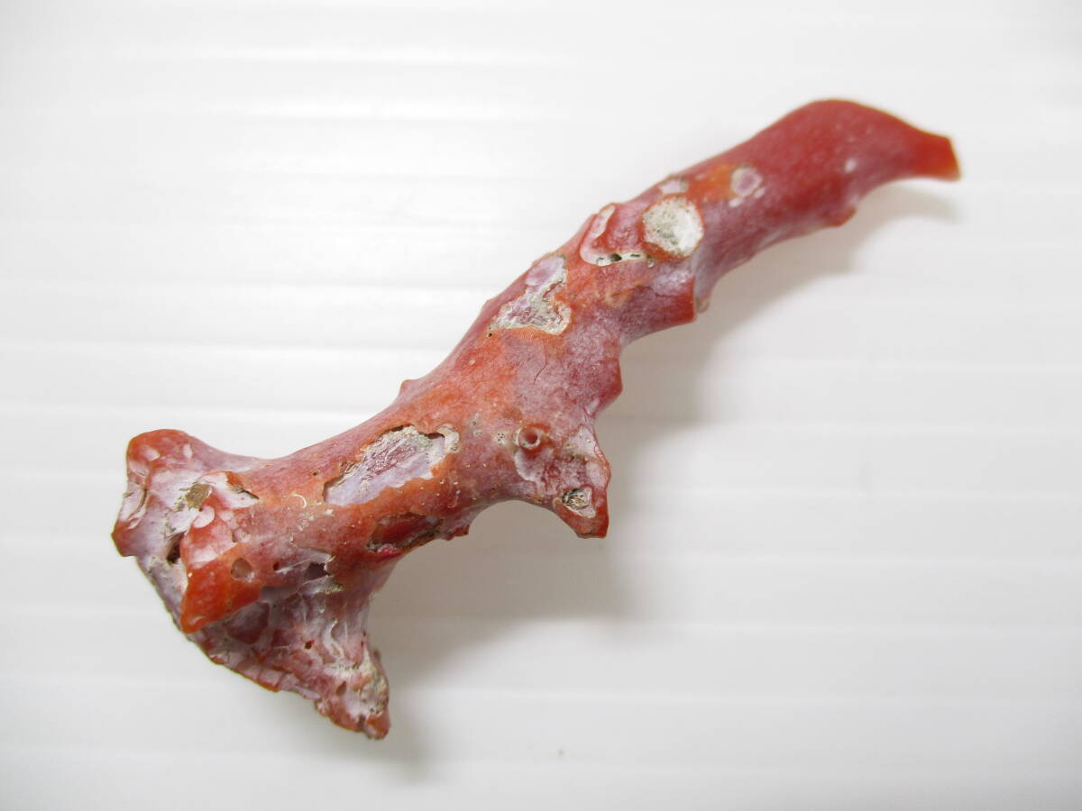 2511M2005.. коралл ветка коралл . дерево камни не в изделии разрозненный / брошь и т.п. полная масса примерно 75g