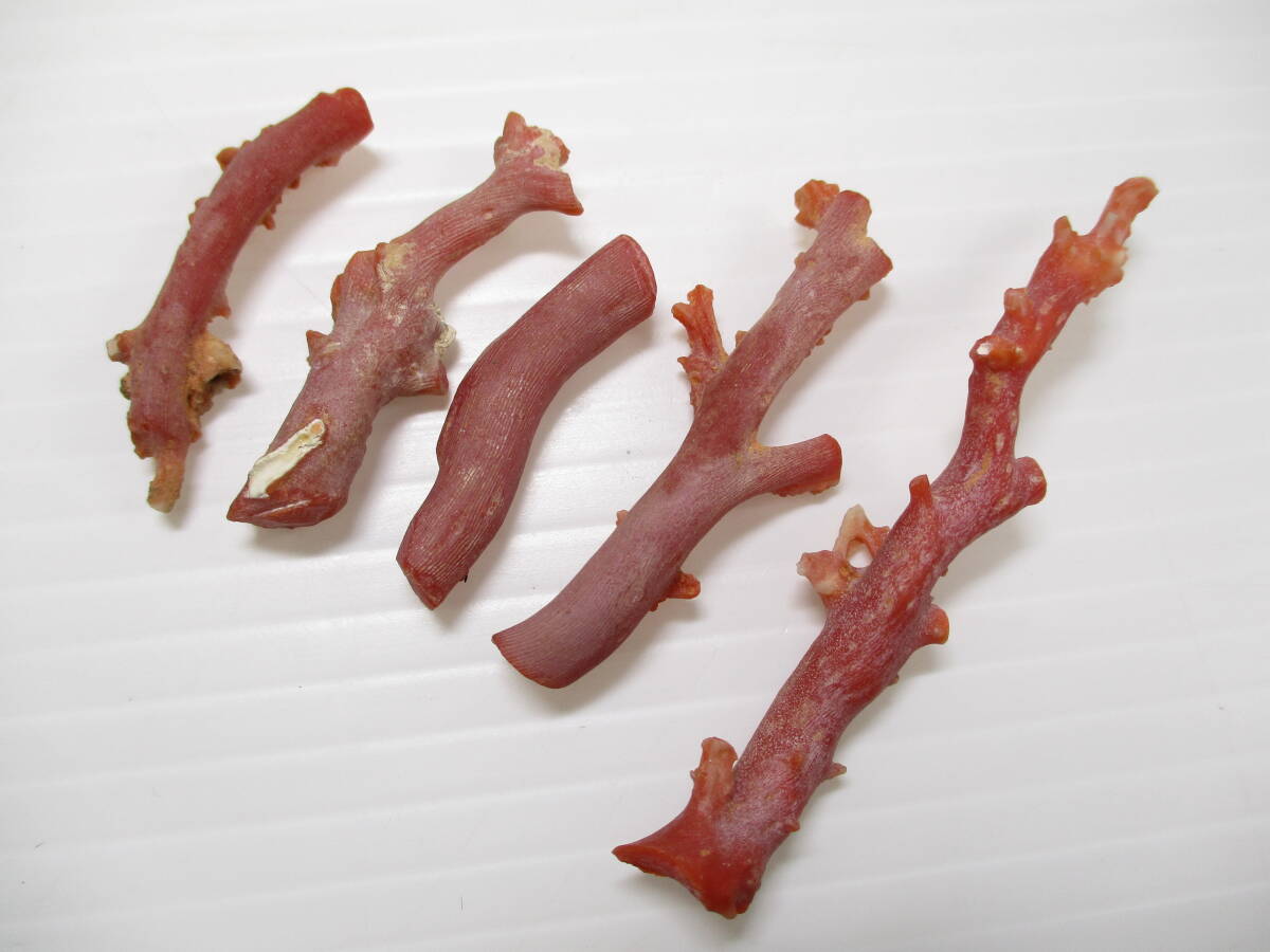 2511M2005.. коралл ветка коралл . дерево камни не в изделии разрозненный / брошь и т.п. полная масса примерно 75g