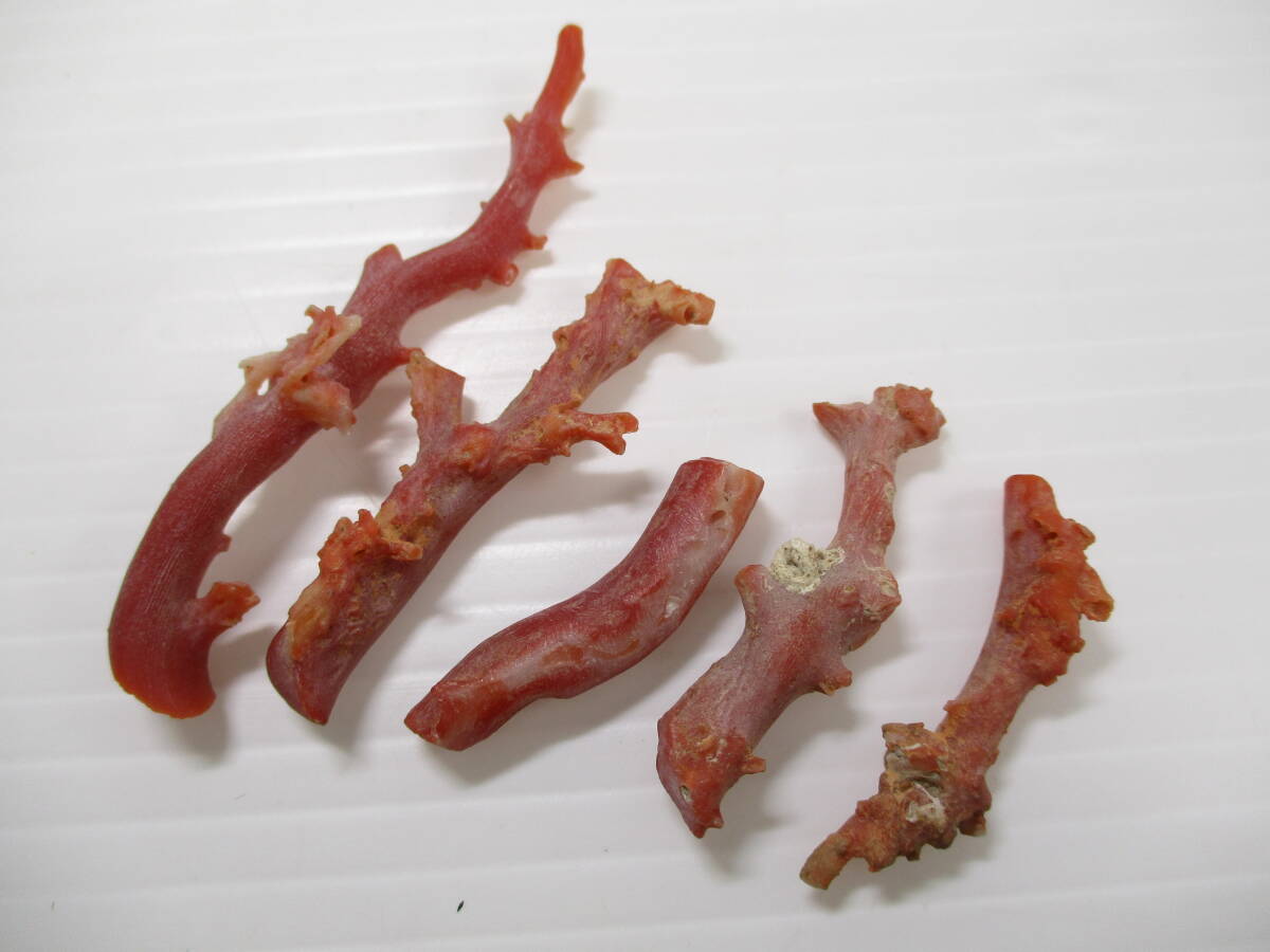 2511M2005.. коралл ветка коралл . дерево камни не в изделии разрозненный / брошь и т.п. полная масса примерно 75g