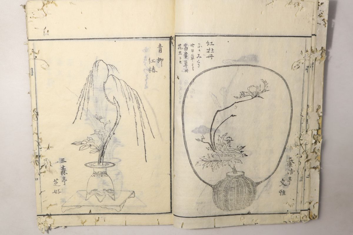 「青山御流 活花手引種 第4巻」桂月園泰雅 1冊|花道 華道 生花 挿花 絵入り 木版画 図解 古書 和本 古典籍 a19_画像1