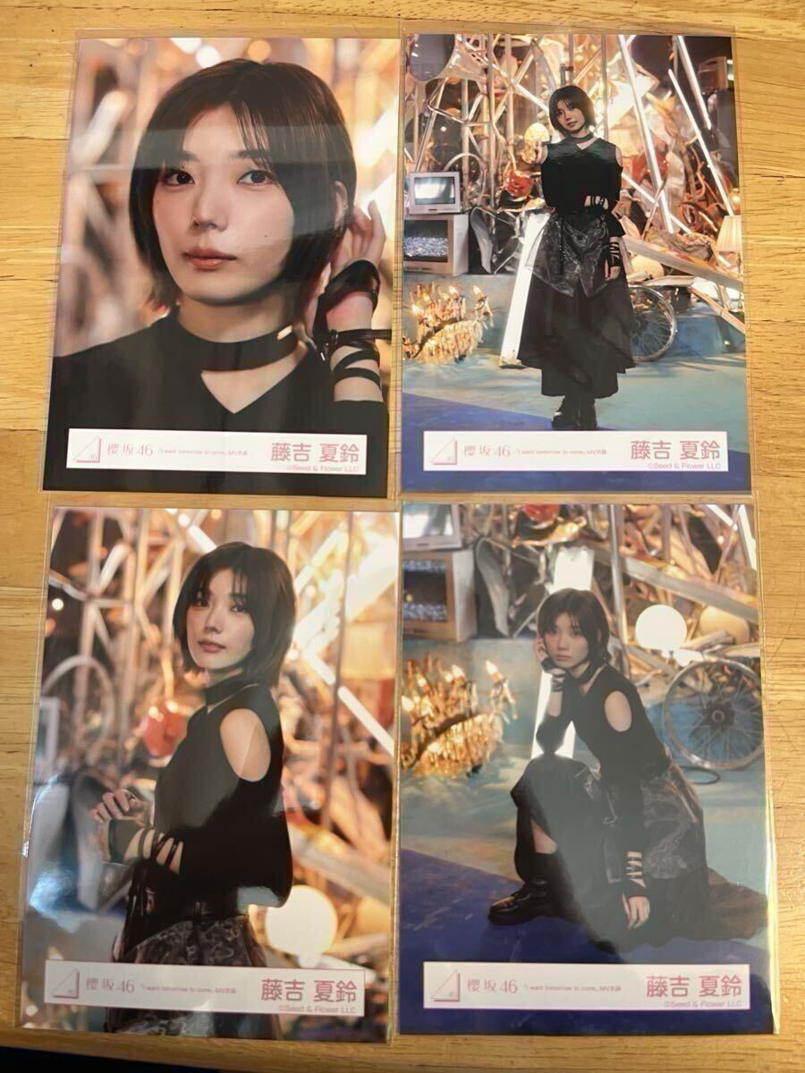 . склон 46 глициния . лето колокольчик life photograph I want tomorrow to come IWTC MV костюм 4 вид comp 