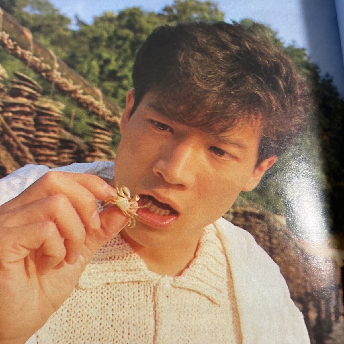 平凡　　1986年9月号　　送料無料　　匿名配送　　中山美穂　田原俊彦　小泉今日子　近藤真彦　南野陽子_画像7