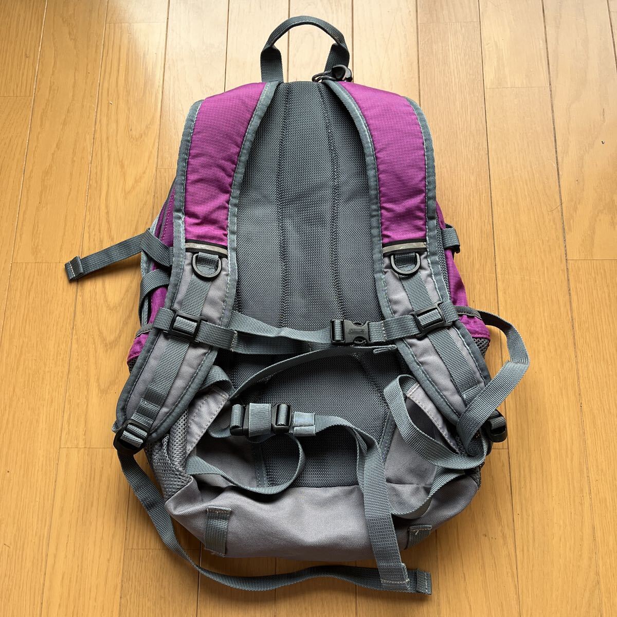 Coleman コールマン リュック　パープル　通勤　通学 アウトドア　キャンプ 登山　リュックサック_画像3