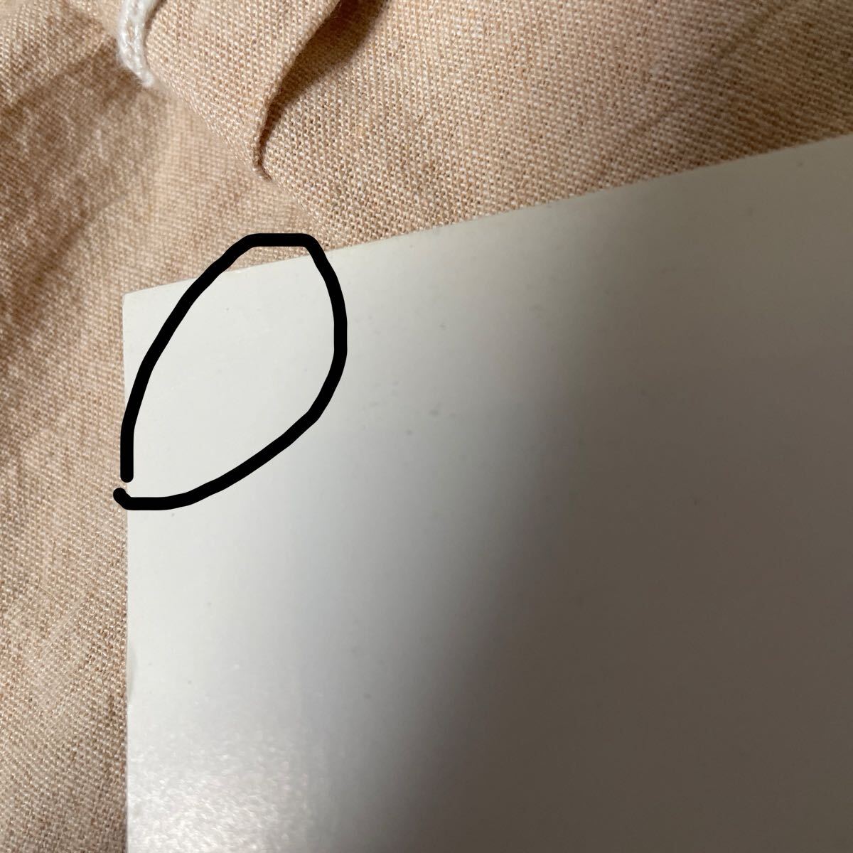 藍田美豊 写真集 Orange Marmalade Dream 別冊スコラ13 小沢忠恭 初版 1989年_画像7