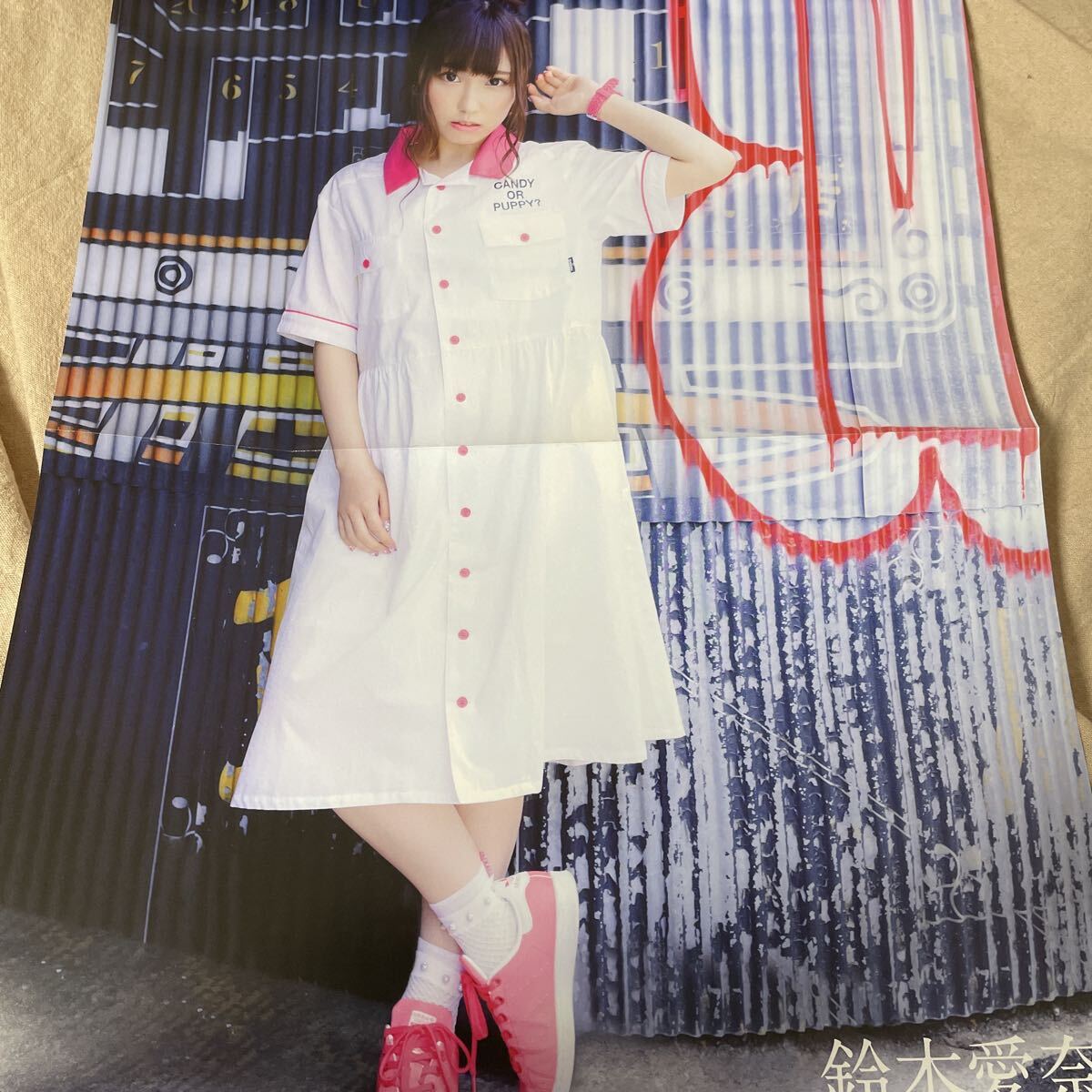 ピンナップ付き　声優パラダイスR 2019年 Vol.31　鈴木愛奈 工藤晴香 鬼頭明里 小原莉子 立花里香 M・A・O 大西亜玖璃 pyxis 他_画像3