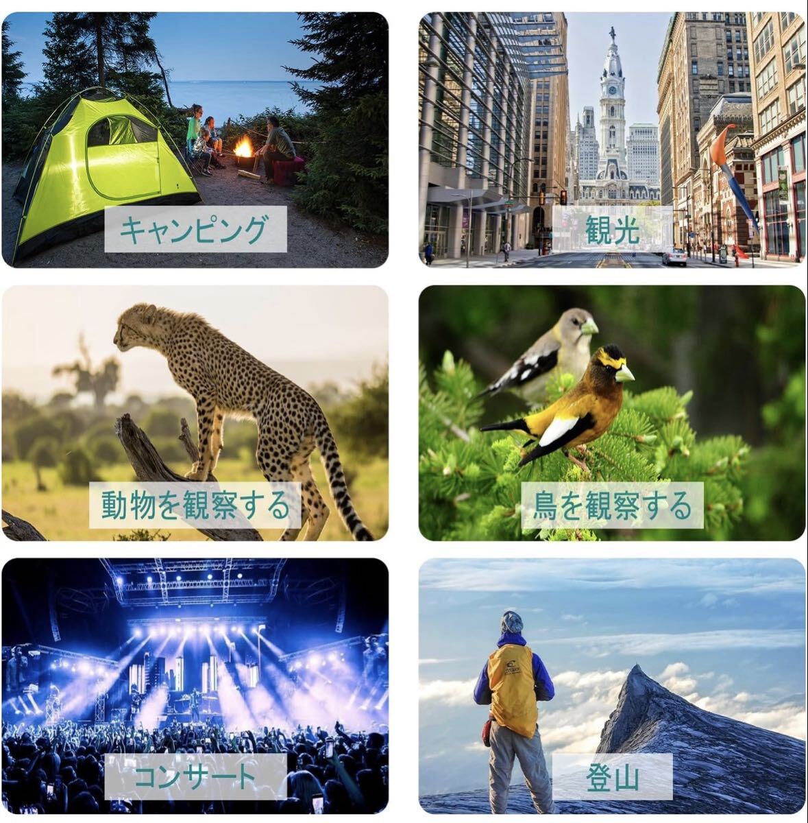 双眼鏡 望遠鏡_画像7