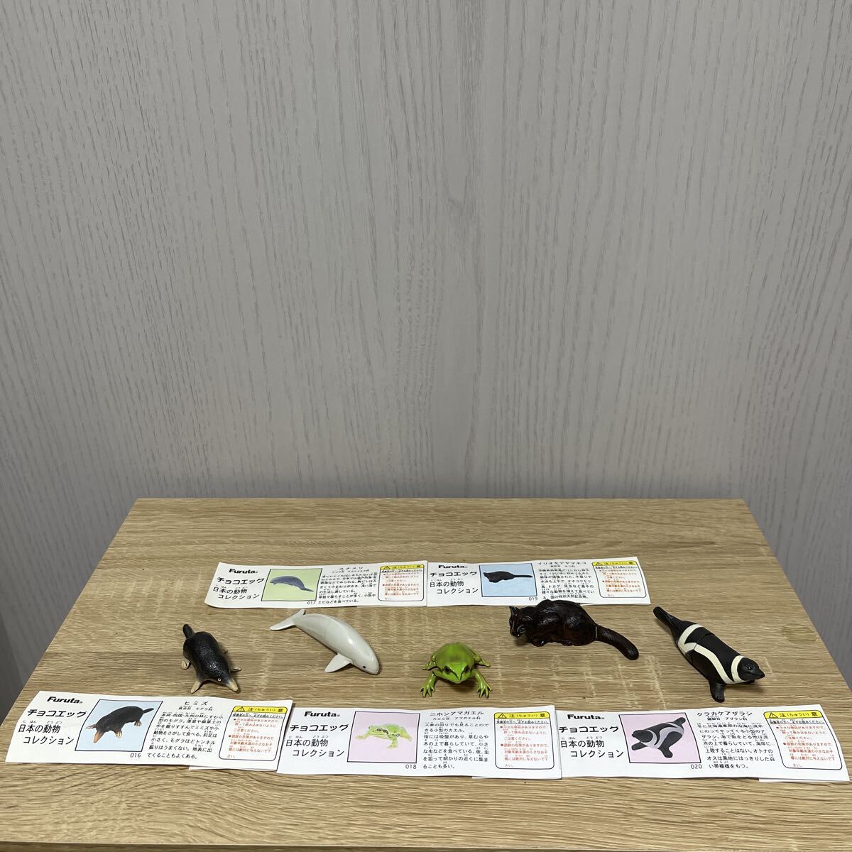Furuta チョコエッグ　日本の動物コレクション　第1弾　全29種（ノーマル全24種＋特別限定全5種）_画像5