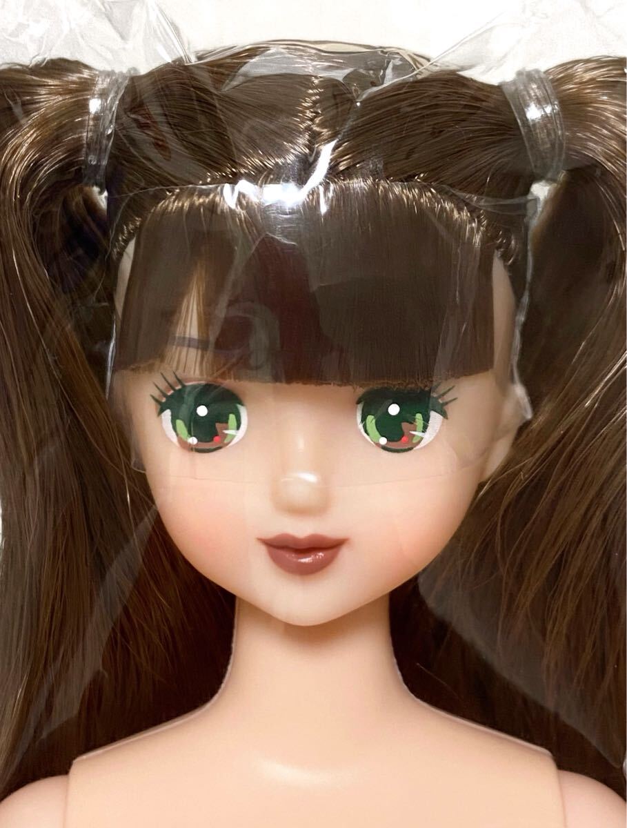 ★ロベリア★ リカちゃんキャッスル おたのしみドール ジェニーフレンドh たまき リエ マリーン 初代フローラ シオン 旧エリー シーナ_画像1