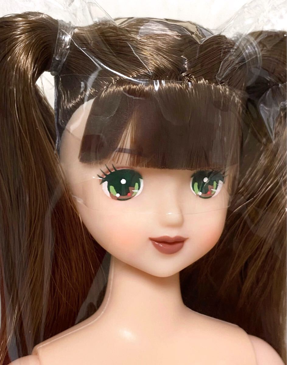 ★ロベリア★ リカちゃんキャッスル おたのしみドール ジェニーフレンドh たまき リエ マリーン 初代フローラ シオン 旧エリー シーナ_画像2