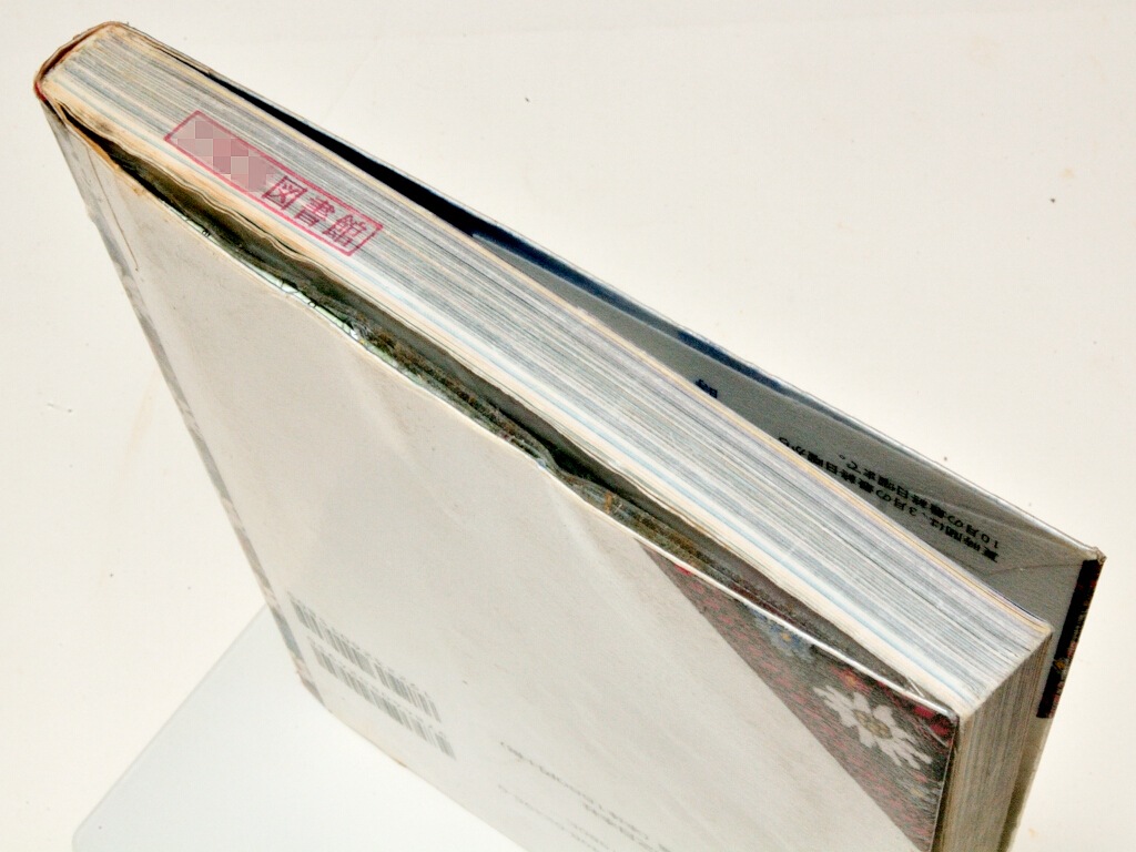 ★図書館リサイクル★ブルーガイドわがまま歩き11『スイス 第8版』★大判マップ付属★_画像7