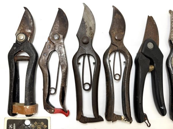  много обрезка .20 пункт совместно комплект ...... Marusan . металлический .0 превосходящий зажим бонсай . порез?. дорога 