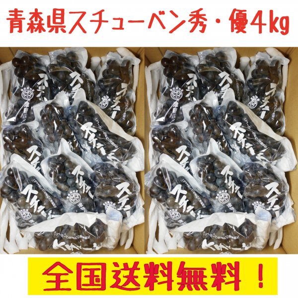 青森県産スチューベンぶどう 優品　4ｋｇ　全国送料無料_画像1