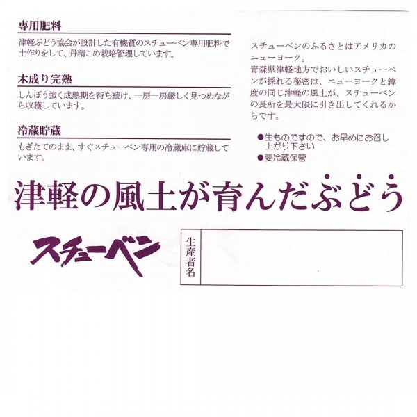 青森県産スチューベンぶどう 優品　4ｋｇ　全国送料無料_画像3