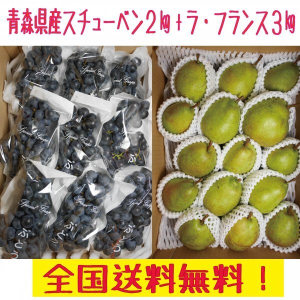 青森県産　洋梨ラ・フランス8-15玉程度　３kg+ぶどう：スチューベン6-12房２ｋｇ　送料無料！_画像1