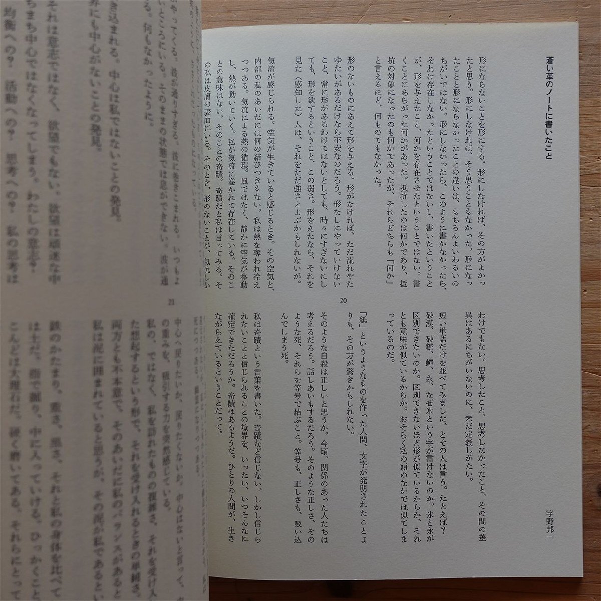 18【るしおる luciole-53/時里二郎/宇野邦一/山崎佳代子/吉増剛造/入沢康翁/松枝到/高柳誠/中村恵美/佐々木幹郎/平田俊子/平出隆】_画像7