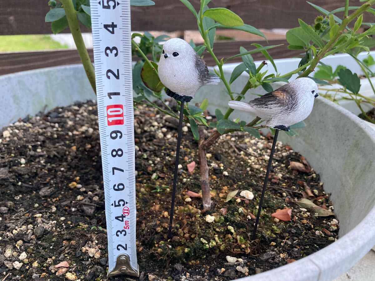 シマエナガ 鳥さんガーデンピック ピッグ 動物置物 ガーデニング オブジェ インテリア リアルでかわいい置物_画像3