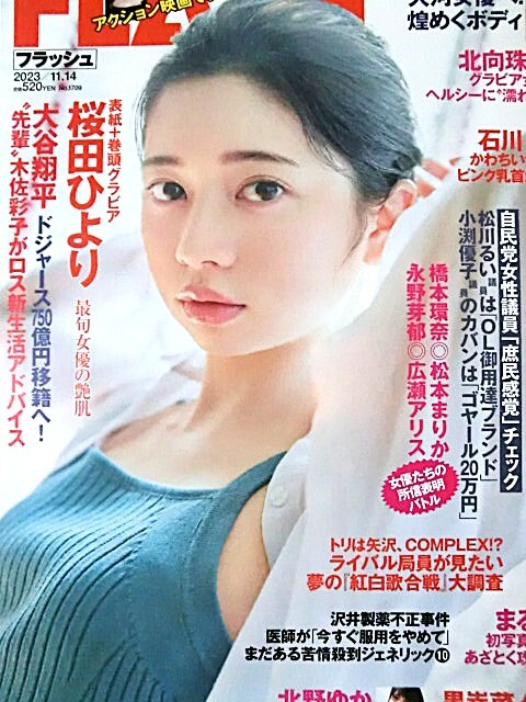 桜田ひより★☆切り抜き20ページファイル冊子☆★_画像10