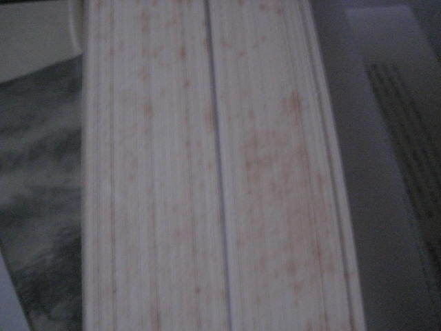 生長の家 四十年史　日本教分社_画像6