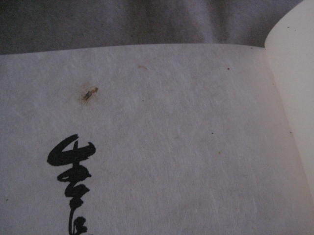 生長の家 三十年史　日本教分社_画像7