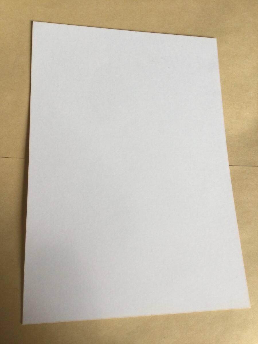 AKB48 真夏のSounds good! 通常盤封入公式写真 大島 優子 水着 即決有 _画像2