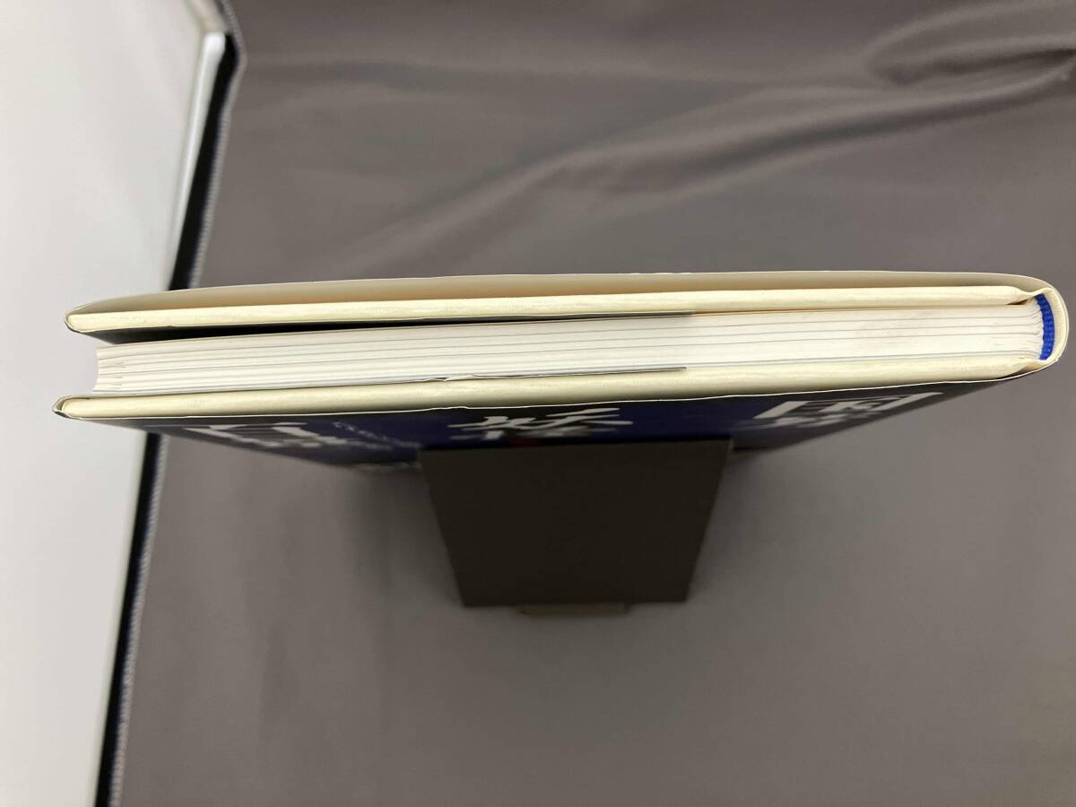 国芳妖怪百景 須永朝彦_画像4