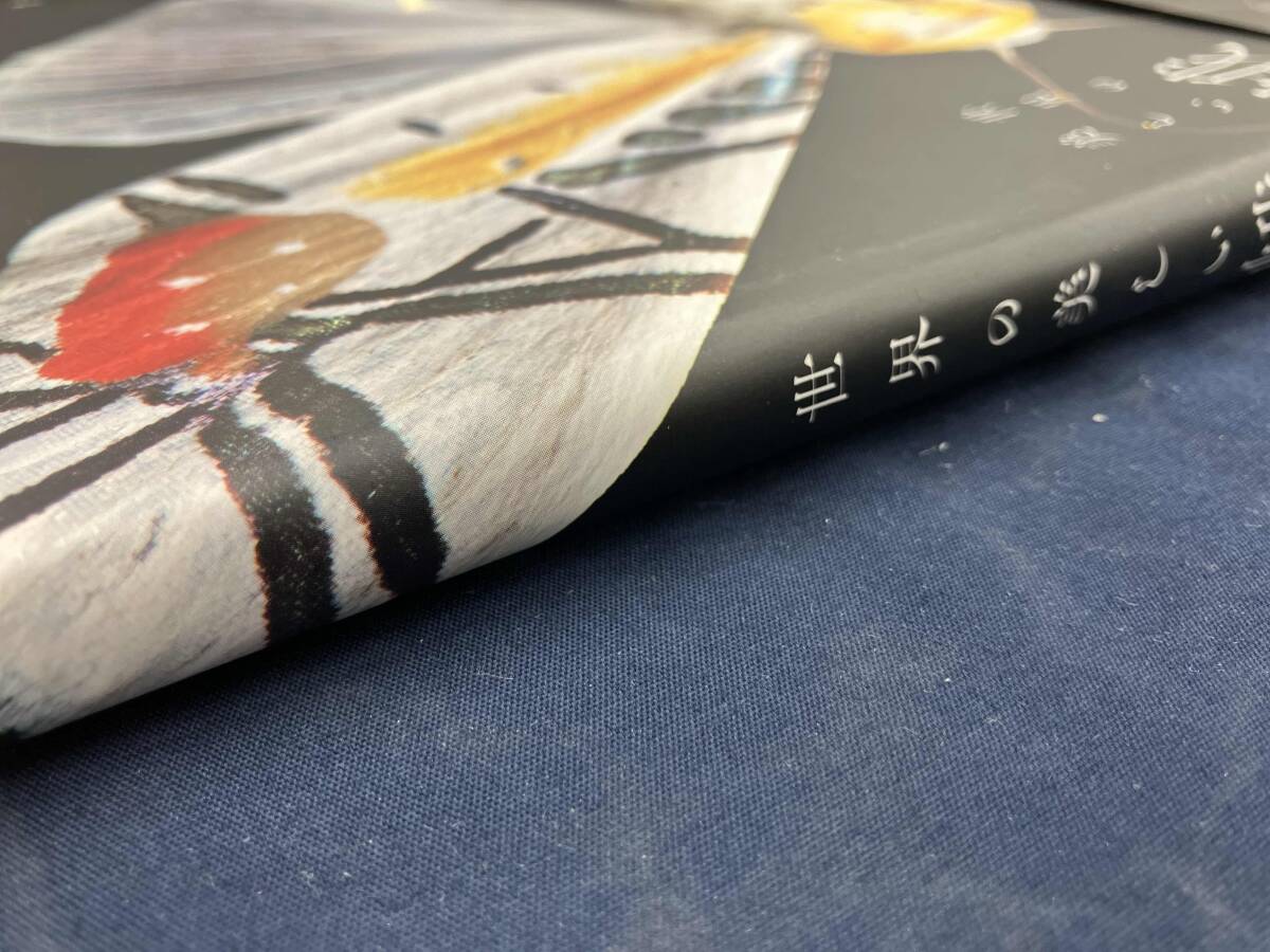 世界の美しい蛾 岸田泰則_画像3