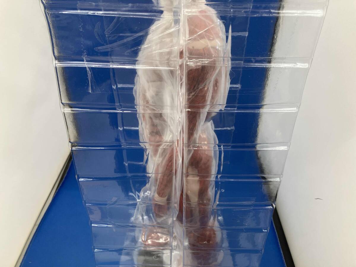 ラストワン賞 超大型巨人 MEGAIMPACT 一番くじ 進撃の巨人 ~獣の巨人は俺が仕留める~ 進撃の巨人_画像7