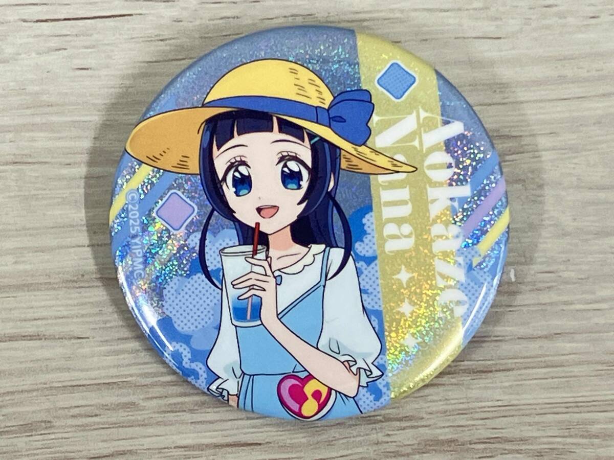 [33 шт. комплект ] ион sinema ограничение Kimi . идол Precure . способ .. ламе жестяная банка значок жестяная банка значок комплект 