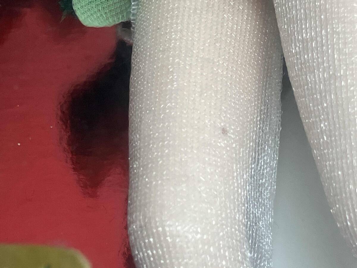 ピーター・パン ホリデー・スパークル ティンカーベル_画像6