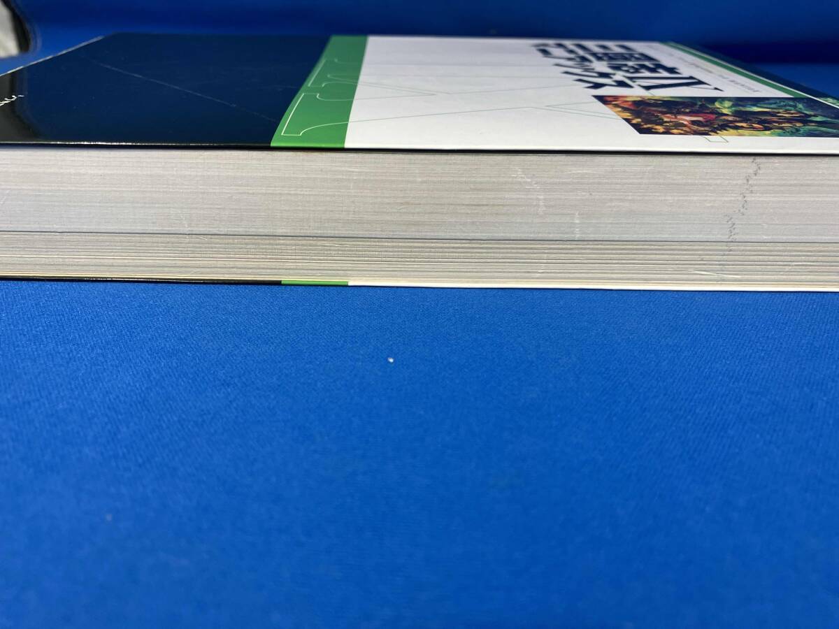 三国志9 マニアックス シブサワコウ_画像5