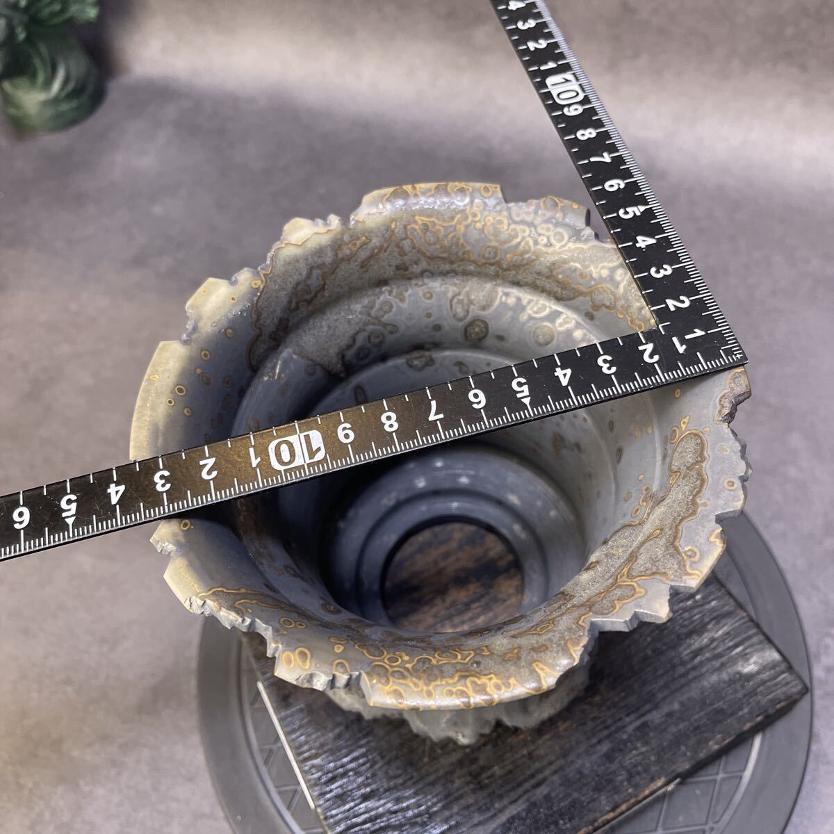 a209 XL HAND Made цветочный горшок керамика осмотр ( агава pakips.. дракон . чёрный огонь .factory SRLkatachi завод gla сверло s. корень растения черепаха . дракон 